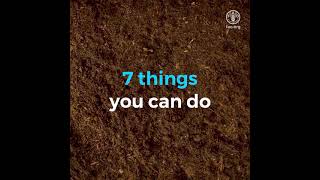 7 Things You Can Do to Stop Soil Pollution