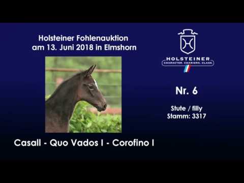 Holsteiner Fohlenauktion im Juni | Nr. 6 v. Casall - Quo Vados I