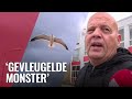 'Terrormeeuw' maakt kruising Spaklerweg onveilig