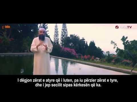 Rrizku është i lidhur ngushtë me mbështetjen tek Allahu - Shejh Sulejman Ruhejli