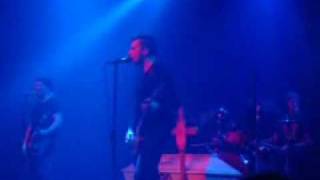 WIZO - Der lustige Tagedieb