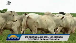 Miniatura do vídeo