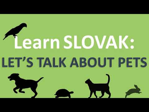 Let's talk about PETS in SLOVAK