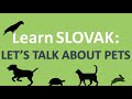 Learn SLOVAK Let S Talk About PETS