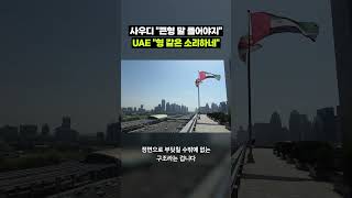 내 밥그릇을 뺏어가?…UAE가 사우디와 갈라서는 이유｜크랩