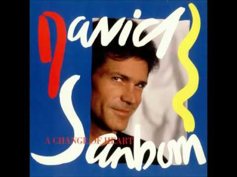David Sanborn - TinTin.wmv