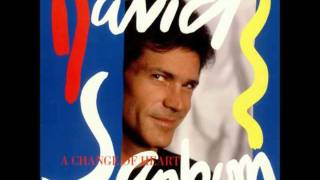 David Sanborn - TinTin.wmv
