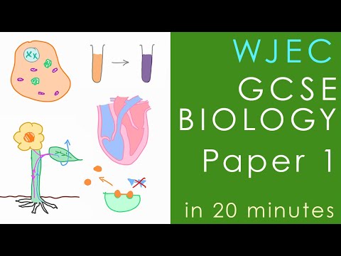 All of WJEC/Eduqas BIOLOGY Paper 1 in 20 minutes - GCSE Science Revision