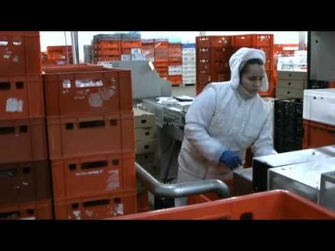 Z wizytą w firmie Bomadek