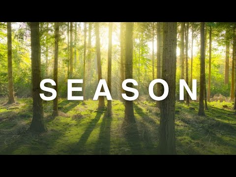 The Magic of All Four Seasons, A Year of Changing Landscapes
