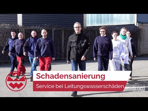 Rainbow International: Komplett-Service bei Schadensanierung - Franchise Me | Welt der Wunder