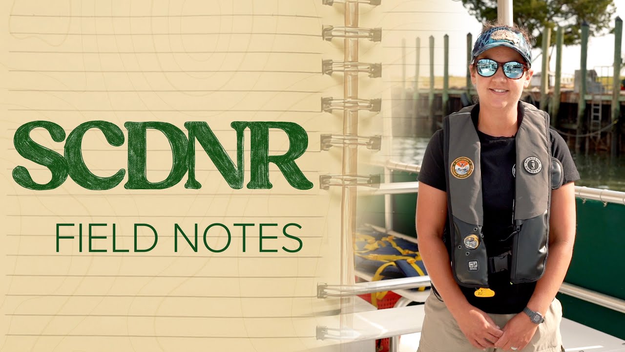 SCDNR Field Notes: Adventures on the E/V Discovery