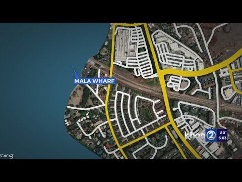 Shark bites Kauai woman's leg in waters off Lahaina, Maui