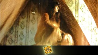 Kate Bush - In Search Of Peter Pan lyrics + Türkçe altyazılı