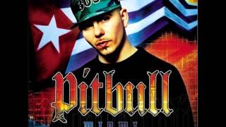 Pitbull - Shake It Up (Feat. Oobie)