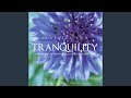 Shuman, Franck, DeBussy: Classics for Tranquility - Part 1