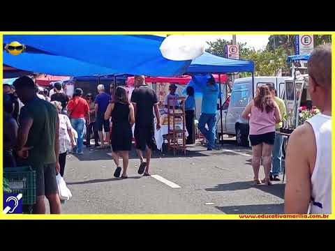 Tv Educativa passeia pela Feira Municipal da Avenida Sampaio Vidal de Marília SP 25 Agosto de 2.025