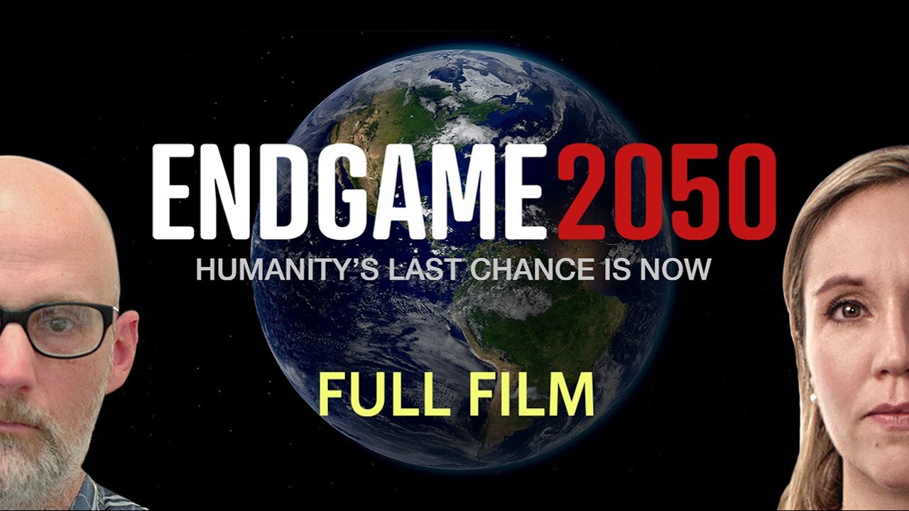 Endgame 2050