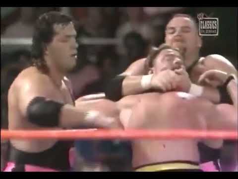 The Hart Foundation Vs The Killer Bees (06-20-1988)