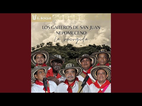 El Son de las Pavas