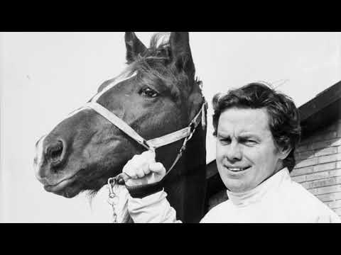 En musikvideo om travhesten Taroks liv