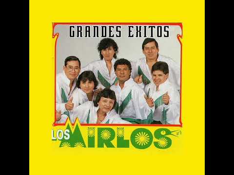#losmirlos los mirlos-Juancito obrero