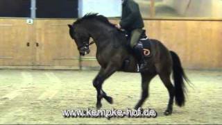 Video of Repertoire 4