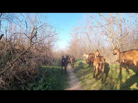4K Ride Elektricnog Bicikla Hisar Leskovac