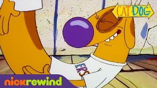We Are The Geekers | CatDog | The Splat