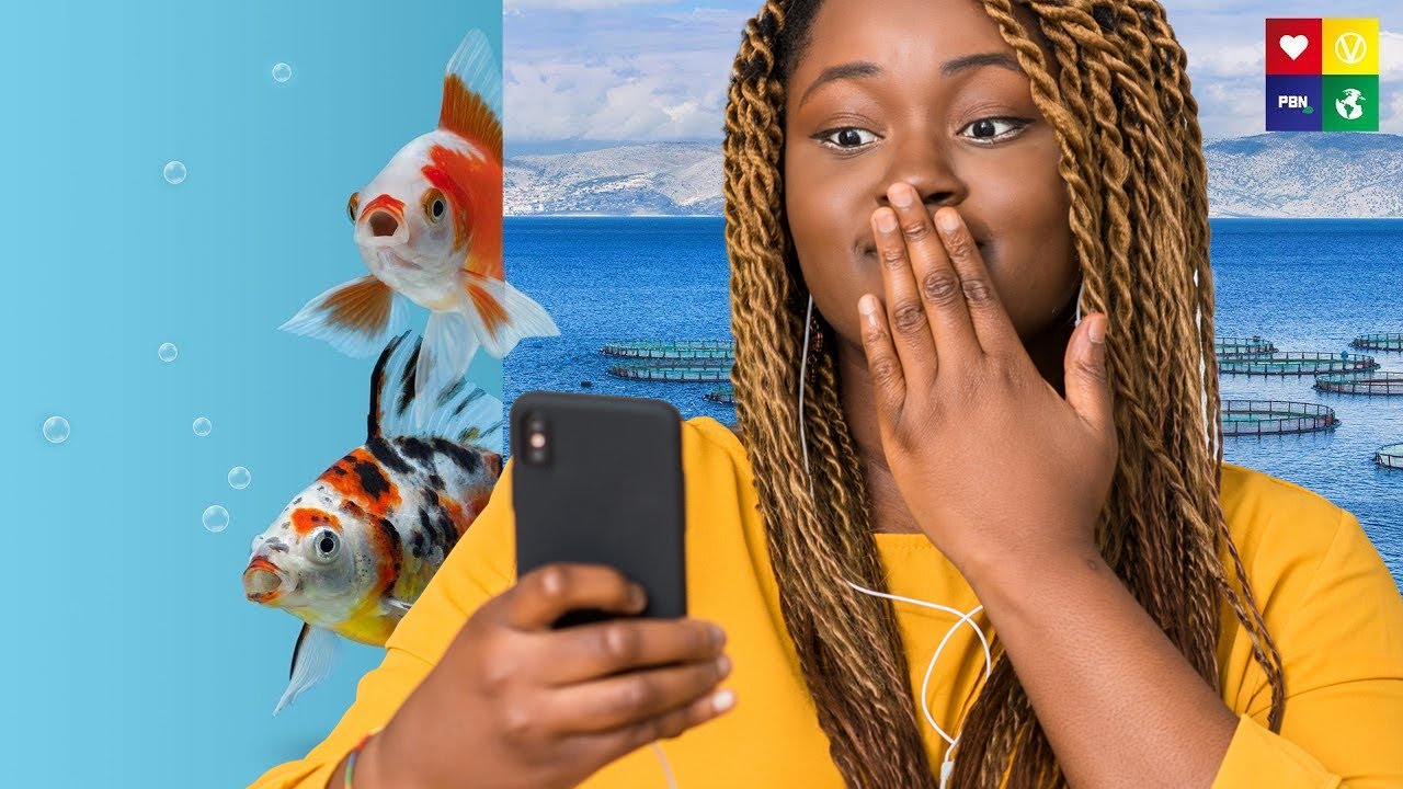 4 SHOCKING FACTS You Need To Know About Fish Farms - YouTube