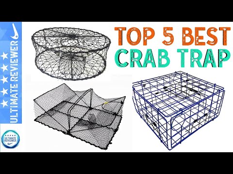 Top 5 Best Crab Traps in 2021 | Crab Trap Buying Guide