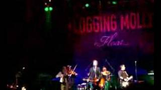 Flogging Molly- The Likes of You Again