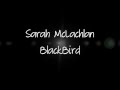 Blackbird- Sarah McLachlan + Lyrics 