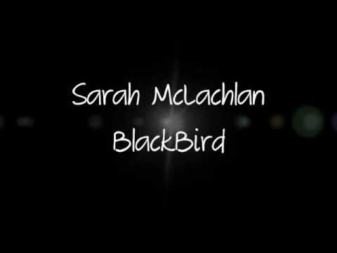 Blackbird- Sarah McLachlan + Lyrics