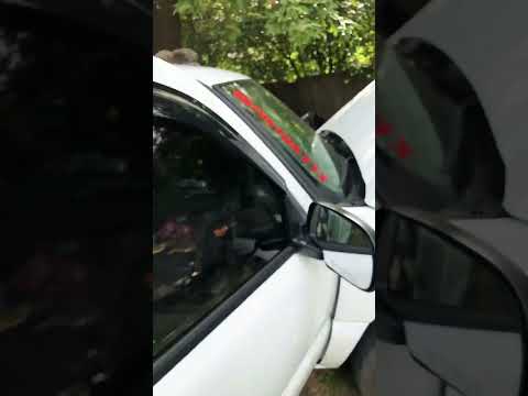 Thumbnail for Window titan en Chevrolet 1500 by Chevrolet, Chevrolet 150