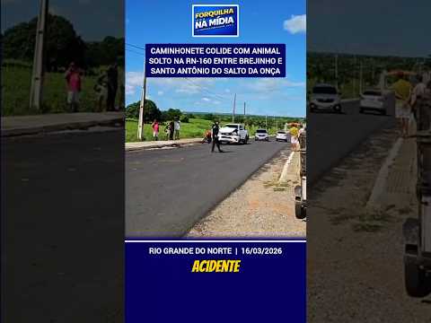 Caminhonete colide com animal solto na RN-160 entre Brejinho e Santo Antônio do Salto da Onça