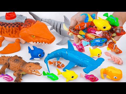 [🐳Toy asmr🐳] RC Mosasaurus & Hammer Shark & Crocodile & Aquarium ASMR Satisfying with Unboxing
