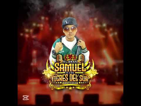 HUMO ALCOHOL Y MADRUGADA EL Gran Samuel y los tigres del sur 