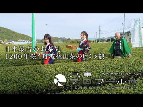 日本最古のお茶処 １２００年続く丹波篠山茶のヒミツ旅