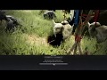 Quest The Armored Imps - Black Desert Online - Black Spirit Quest