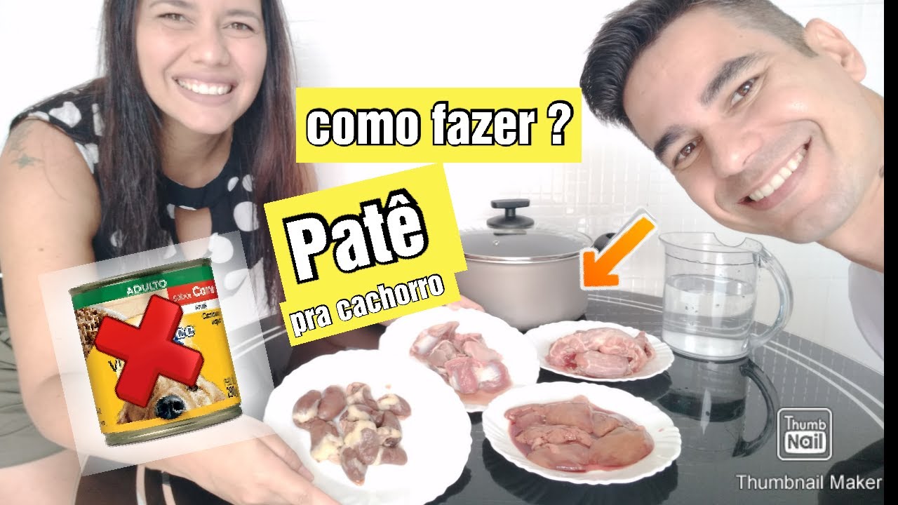 Como fazer patê  pro cachorro