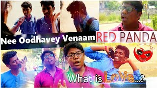 preview picture of video 'What is Love | Valentine's Day Special | Nee Oodhavey Venaam  Love Whatsapp Status Tamil | Red Panda'