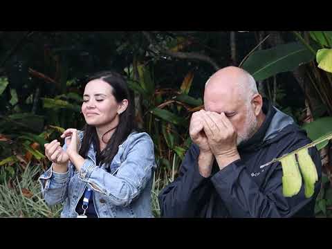 Caminhos da Natureza: paisagens e roteiros incríveis por Novo Cabrais - Rio Grande Rural