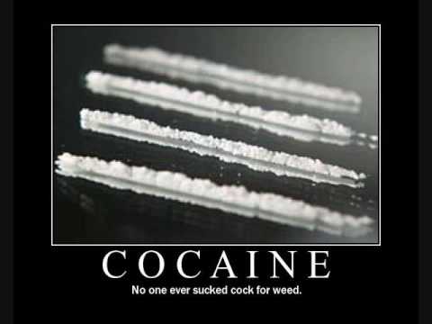 Cocaine - DJ pavo & Dj zany