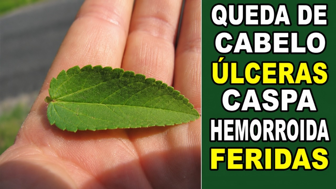 Queda de Cabelo, Úlceras, Hemorroidas, Feridas, Caspa... #Remédio Caseiro 💖 MARILENE SARAH FIALHO