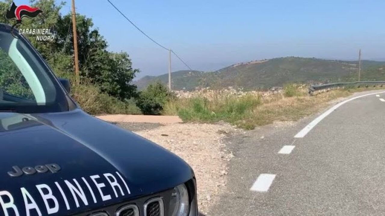 Corsa di cavalli per le vie di Orani: denunciati otto giovani