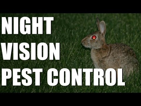 Night vision pest control success Night vision pest control success