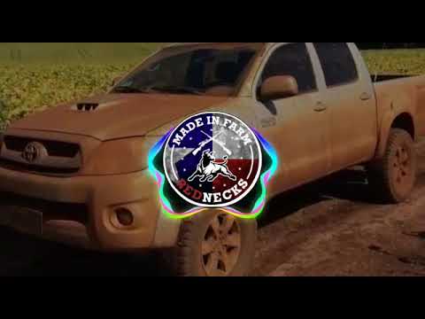 Bandeira Branca - Pedro Sanchez e Thiago