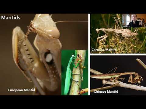Mary Gardiner, Good Garden Bugs: Everything You Need to Know about Beneficial Predatory Insects