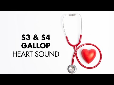S3 and S4 Gallop - Heart Sounds - MEDZCOOL